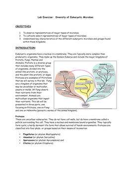 Lab Exercise: Diversity of Eukaryotic Microbes OBJECTIVES