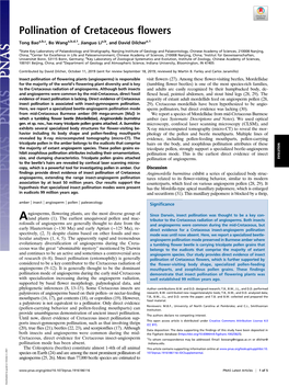 Pollination of Cretaceous Flowers