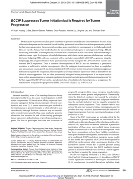 Bccipsuppresses Tumor Initiation but Is Required For