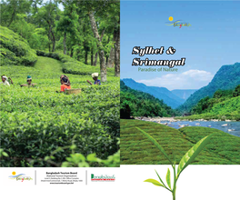 Sylhet & Srimangal