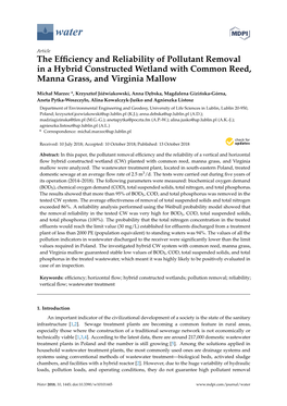 The Efficiency and Reliability of Pollutant Removal in a Hybrid