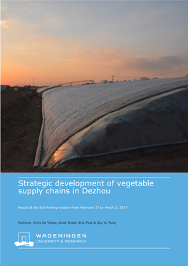 Strategic Development of Vegetable Supply Chains in Dezhou