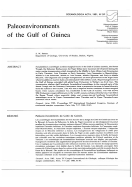 Paleoenvironments of the Gulf of Guinea