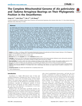 The Complete Mitochondrial Genome of Aix Galericulata and Tadorna Ferruginea: Bearings on Their Phylogenetic Position in the Anseriformes