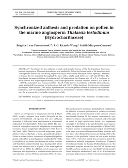 Synchronized Anthesis and Predation on Pollen in the Marine Angiosperm Thalassia Testudinum (Hydrocharitaceae)