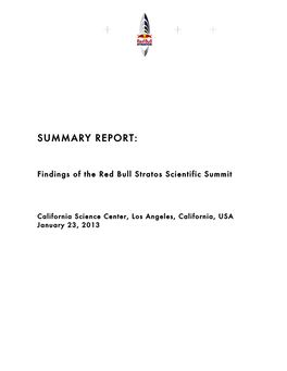 Summary Report