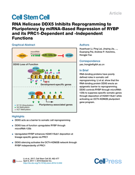 RNA Helicase DDX5 Inhibits Reprogramming to Pluripotency by Mirna-Based Repression of RYBP and Its PRC1-Dependent and -Independent Functions