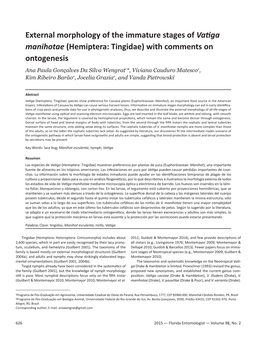 External Morphology of the Immature Stages of Vatiga Manihotae