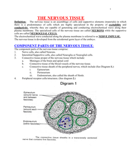 The Nervous Tissue