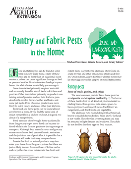 Pantry and Fabric Pests in the Home