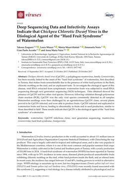 Deep Sequencing Data and Infectivity Assays Indicate That Chickpea Chlorotic Dwarf Virus Is the Etiological Agent of the “Hard Fruit Syndrome” of Watermelon