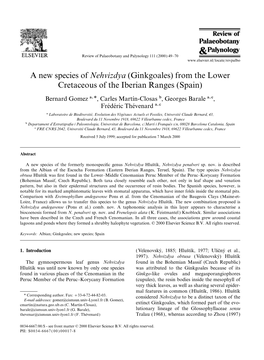 Ginkgoales) from the Lower Cretaceous of the Iberian Ranges (Spain