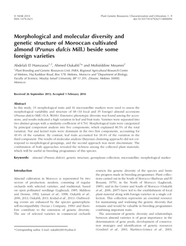 Morphological and Molecular Diversity and Genetic Structure of Moroccan Cultivated Almond (Prunus Dulcis Mill.) Beside Some Foreign Varieties