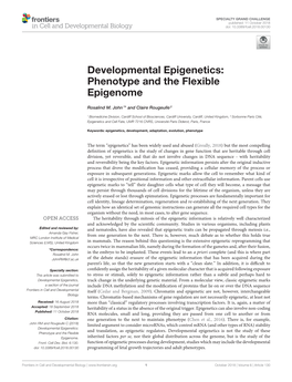 Developmental Epigenetics: Phenotype and the Flexible Epigenome