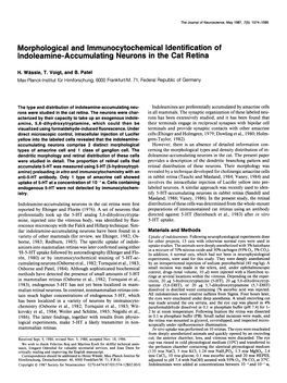 Morphological and Lmmunocytochemical Identification of Indoleamine-Accumulating Neurons in the Cat Retina