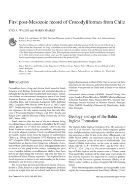 First Post-Mesozoic Record of Crocodyliformes from Chile