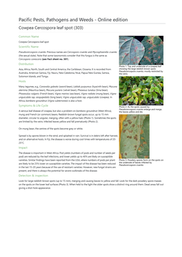 Cowpea Cercospora Leaf Spot (303)