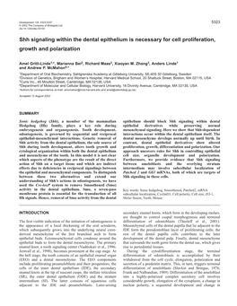 Shh and Epithelial Growth and Polarity