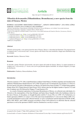 Tillandsia Dichromantha (Tillandsioideae; Bromeliaceae), a New Species from the State of Oaxaca, Mexico