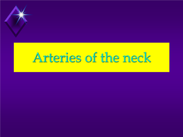 Arteries of the Neck Common Carotid Artery