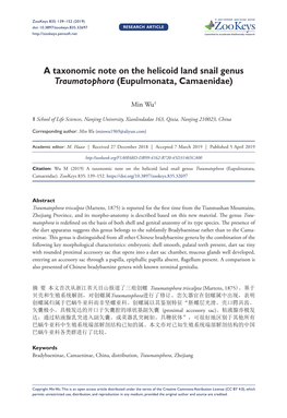A Taxonomic Note on the Helicoid Land Snail Genus Traumatophora (Eupulmonata, Camaenidae)