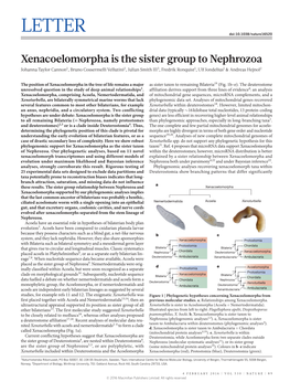 Xenacoelomorpha Is the Sister Group to Nephrozoa