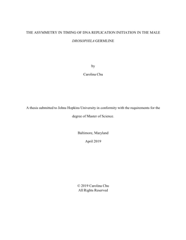 The Asymmetry in Timing of Dna Replication Initiation in the Male