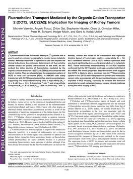 Fluorocholine Transport Mediated by the Organic Cation Transporter 2 (OCT2, SLC22A2): Implication for Imaging of Kidney Tumors