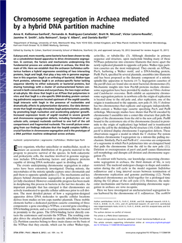 Chromosome Segregation in Archaea Mediated by a Hybrid DNA Partition Machine