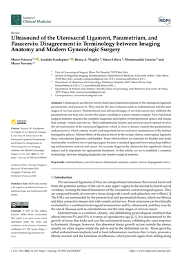 Ultrasound of the Uterosacral Ligament, Parametrium, and Paracervix: Disagreement in Terminology Between Imaging Anatomy and Modern Gynecologic Surgery