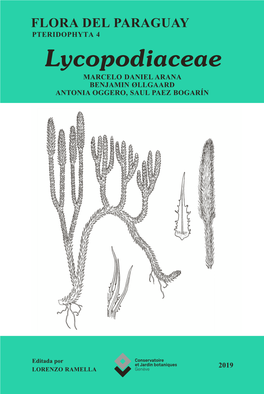 Lycopodiaceae MARCELO DANIEL ARANA BENJAMIN ØLLGAARD ANTONIA OGGERO, SAUL PAEZ BOGARÍN