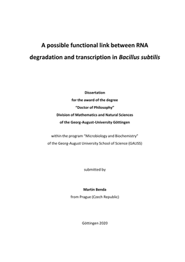 A Possible Functional Link Between RNA Degradation and Transcription in Bacillus Subtilis