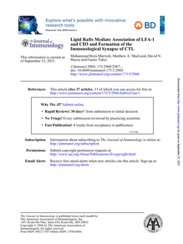 Immunological Synapse of CTL and CD3