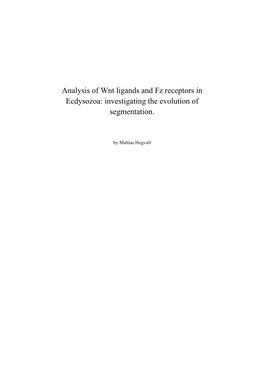 Analysis of Wnt Ligands and Fz Receptors in Ecdysozoa: Investigating the Evolution of Segmentation