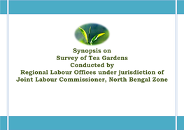 Synopsis on Survey of Tea Gardens Conducted by Regional Labour Offices Under Jurisdiction of Joint Labour Commissioner, North Bengal Zone Contents