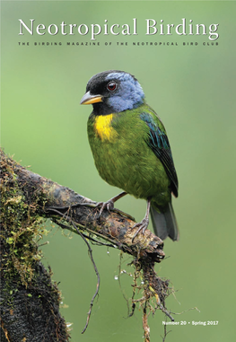 Neotropical Birdingbirding T H E B I R D I N G M a G a Z I N E O F T H E Neotropical B I R D C L U B