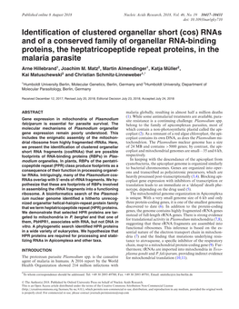(Cos) Rnas and of a Conserved Family of Organellar RNA-Binding Proteins, the Heptatricopeptide Repeat Proteins, in the Malaria Parasite Arne Hillebrand1, Joachim M