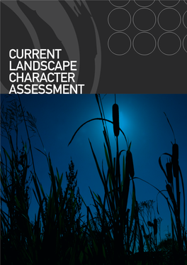 Landscape Character Assessment Current