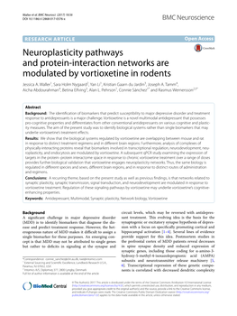 Neuroplasticity Pathways and Protein-Interaction Networks Are