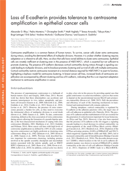 Loss of E-Cadherin Provides Tolerance to Centrosome Amplification in Epithelial Cancer Cells