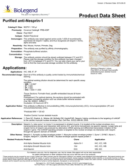 Product Data Sheet Purified Anti-Nesprin-1