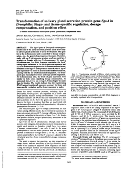 Transformation of Salivary Gland Secretion Protein Gene