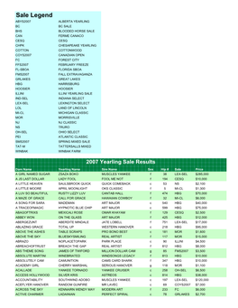 Auction Guide NEW 2008