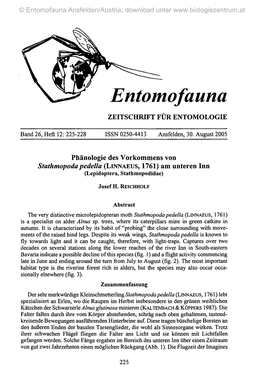 Entomofauna Ansfelden/Austria; Download Unter