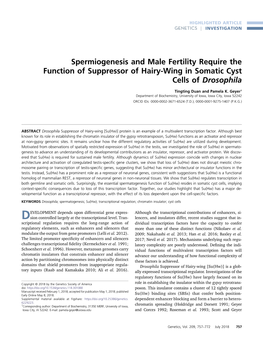 Spermiogenesis and Male Fertility Require the Function of Suppressor of Hairy-Wing in Somatic Cyst Cells of Drosophila