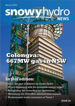 Colongra: 667MW Gas in NSW