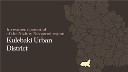 Investment Potential of the Nizhny Novgorod Region Kulebaki Urban District Overview