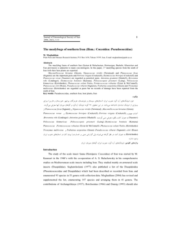 The Mealybugs of Southern Iran (Hem.: Coccoidea: Pseudococcidae)