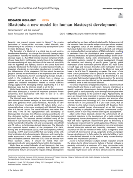 A New Model for Human Blastocyst Development