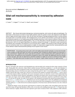 Glial Cell Mechanosensitivity Is Reversed by Adhesion Cues